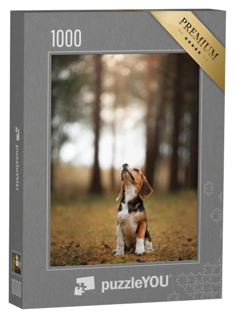 Puzzel 1000 stukjes „Hond rent door de natuur, Beagle“