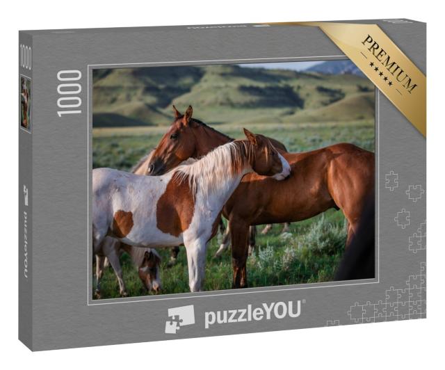 Puzzle „Paintpony und Ranch-Pferd, Montana, USA“