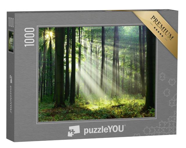 Puzzel 1000 stukjes „Een ochtend in het bos met de eerste zonnestralen“