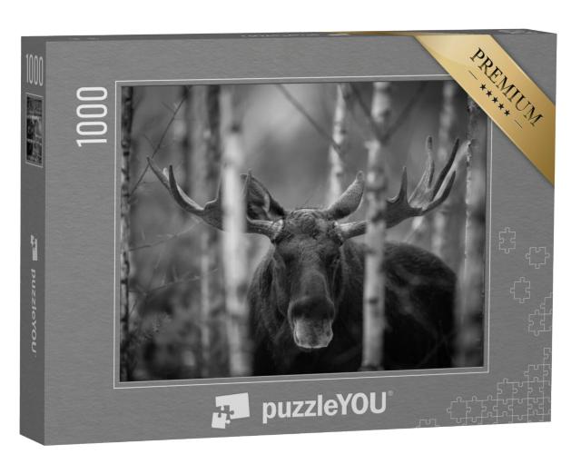 Puzzel 1000 stukjes „Portret van eland, Noord-Amerika“