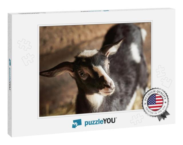 Black & White Goat in Barn. Domestic Dwarf Goat in the Fa... Jigsaw Puzzle