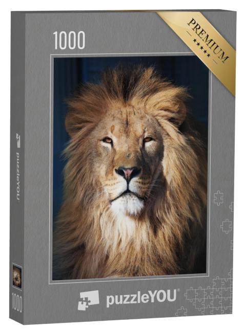 Puzzel 1000 stukjes „Portret van een leeuw“