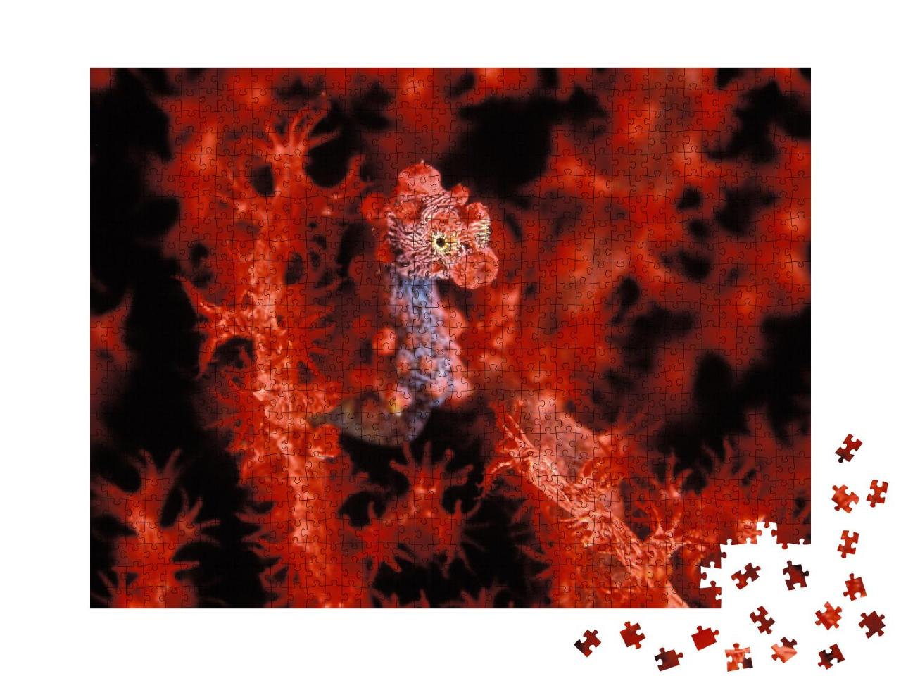 Puzzle 1000 Teile „VersteckspieL Ein leuchtend rotes Pygmäen-Seepferdchen“