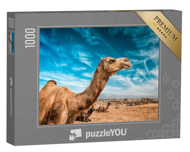 Puzzel 1000 stukjes „Kameel op de Pushkar Mela“