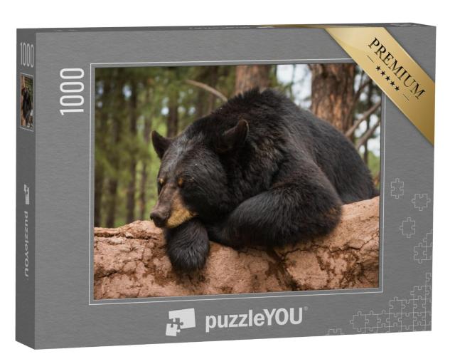 Puzzel 1000 stukjes „Een beer op een boomstam“