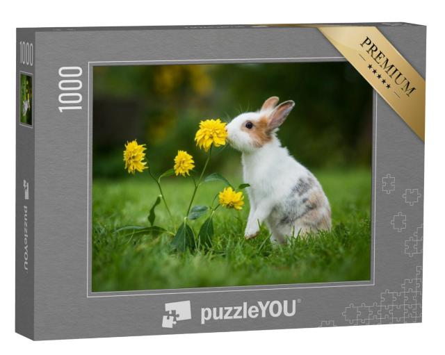 Puzzel 1000 stukjes „Klein nieuwsgierig konijntje“