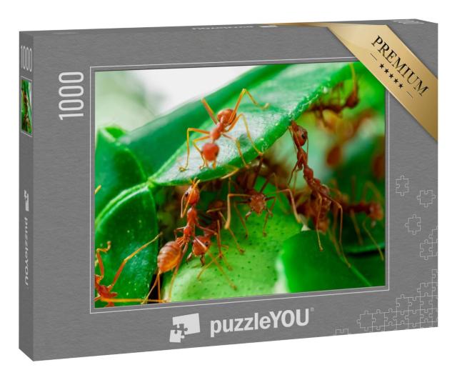 Puzzle 1000 Teile „Ameisen auf grünem Blatt“