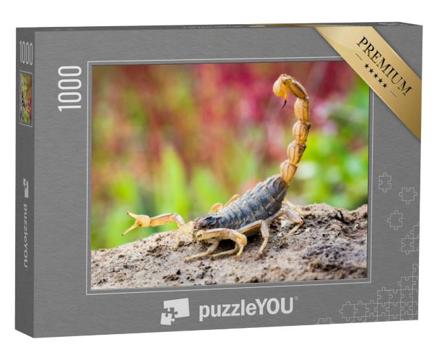 Puzzel 1000 stukjes „Schorpioen in aanvalspositie“