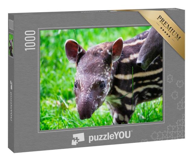 Puzzle 1000 Teile „Neun Tage alter Tapir, Nahaufnahme im grünen Gras“