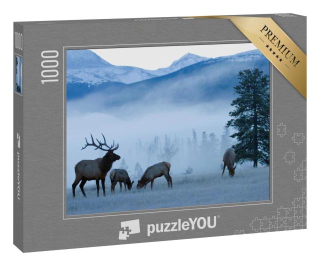 Puzzle 1000 Teile „Frostiger Morgen: Elchbulle und Kühe, Rocky Mountains“