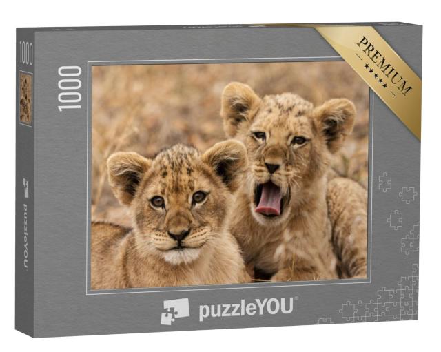 Puzzel 1000 stukjes „Jonge leeuwen“