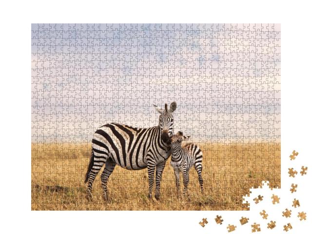 Puzzle 1000 Teile „Burchell- oder Steppenzebra in Tansania: Mutter mit Jungtier“