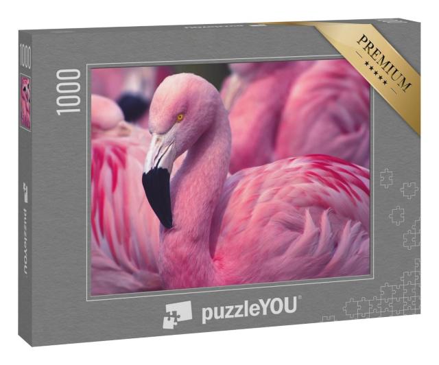 Puzzle 1000 Teile „Flamingo aus Chile “