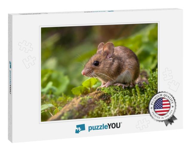 Wild Wood Mouse Resting on a Stick on the Forest Floor wi... Jigsaw Puzzle