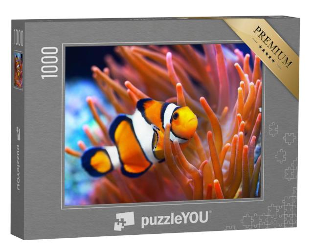 Puzzel 1000 stukjes „Amphiprion ocellaris, clownvis, zee“