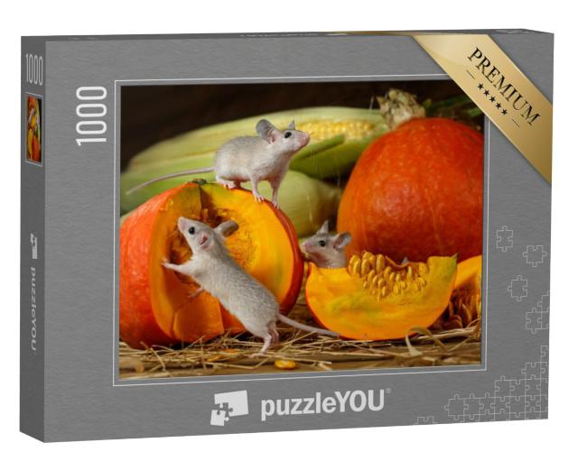 Puzzel 1000 stukjes „Drie jonge muizen verkennen geoogste pompoenen“