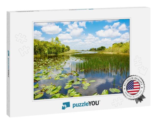 Florida Wetland, Airboat Ride At Everglades National Park... Jigsaw Puzzle
