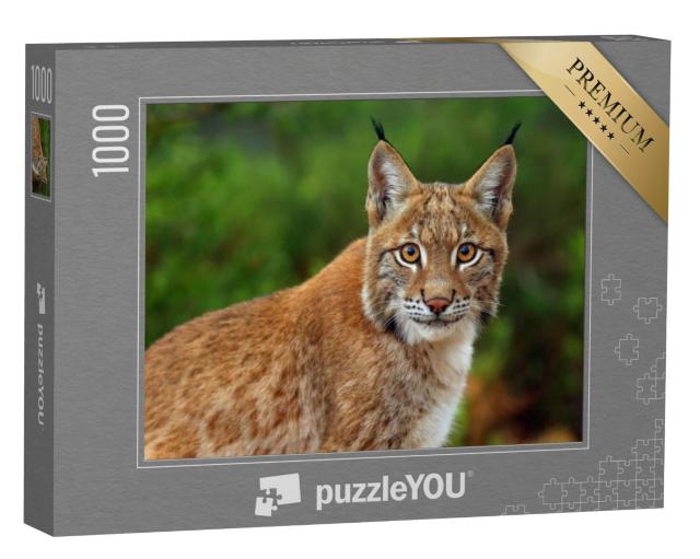 Puzzel 1000 stukjes „De Euraziatische lynx, portretfoto“