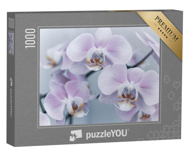 Puzzel 1000 stukjes „Prachtige delicate orchidee“