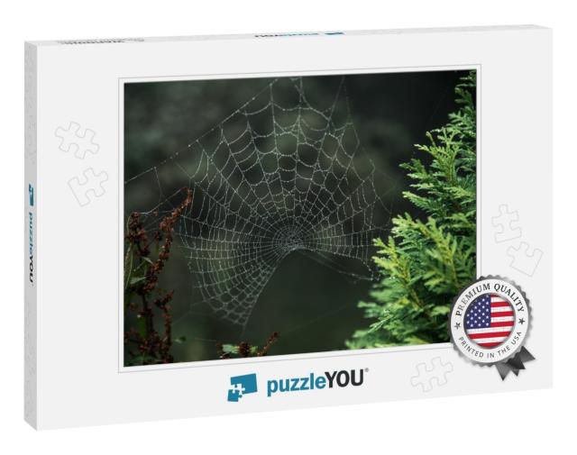The Spiderweb with Drops Near the Conifer Tree... Jigsaw Puzzle