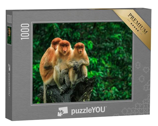 Puzzel 1000 stukjes „Slangapen in Borneo, Maleisië“