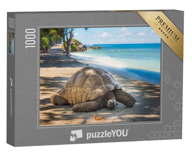 Puzzel 1000 stukjes „Reuzenschildpad van de Seychellen“