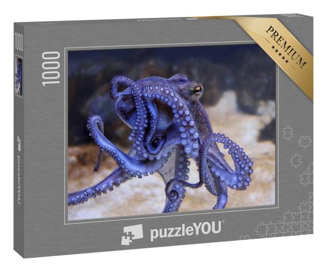 Puzzle „Blauer Oktopus in einem Aquarium“