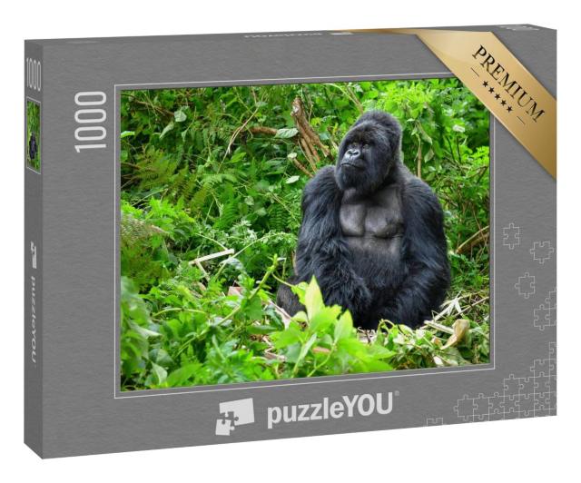 Puzzle 1000 Teile „Silberrücken-Berggorilla in einem Regenwald in Ruanda“