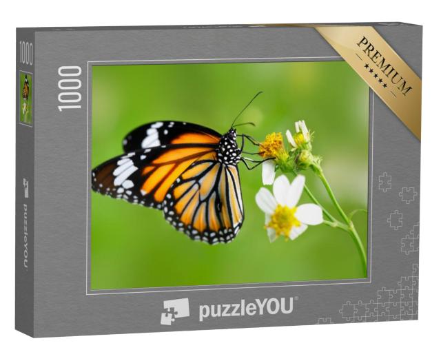 Puzzel 1000 stukjes „Vlinder van het geslacht gewone tijgervlinder op een bloem“