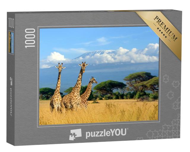 Puzzel 1000 stukjes „Drie giraffen in het nationale park van Kenia“