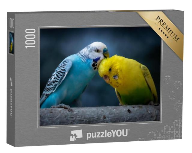 Puzzel 1000 stukjes „Portret van twee grasparkieten op een tak“