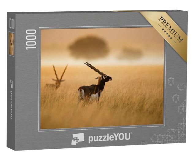 Puzzel 1000 stukjes „Een Indiase zwarte bok uit Tal Chappar Rajashthan“