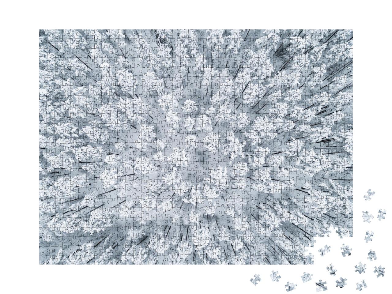 Puzzle 1000 Teile „Luftaufnahme eines winterlichen, schneebedeckten Kiefernwaldes“