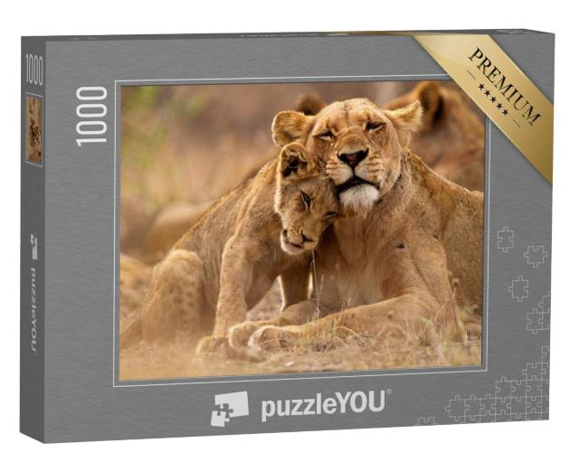 Puzzel 1000 stukjes „Leeuwin en welp in Kruger National Park, Zuid-Afrika“