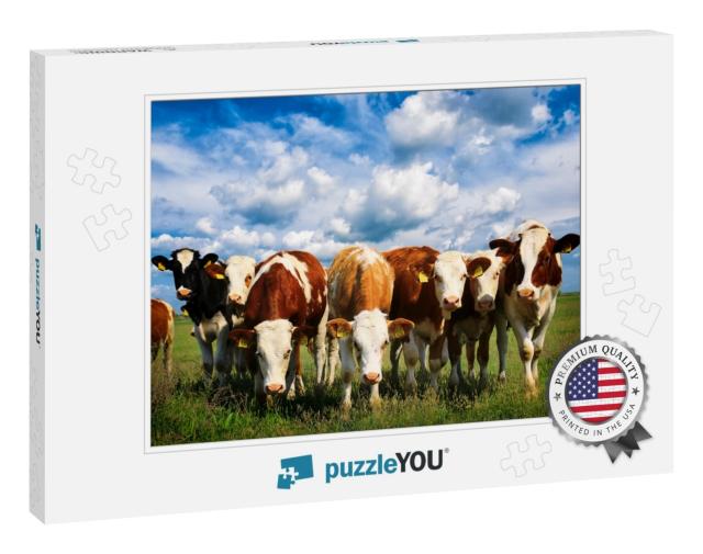 Cows on a Green Summer Meadow... Jigsaw Puzzle