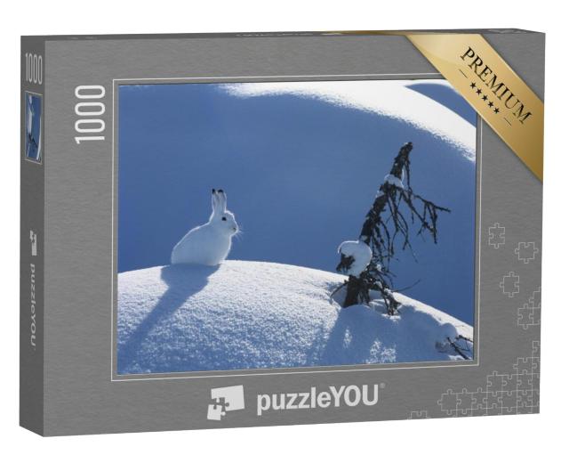 Puzzel 1000 stukjes „Pluizige poolhaas op een zonnige dag in de winter“