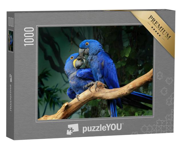 Puzzel 1000 stukjes „Een paar blauwe hyacint ara's raken elkaar aan met hun snavels“