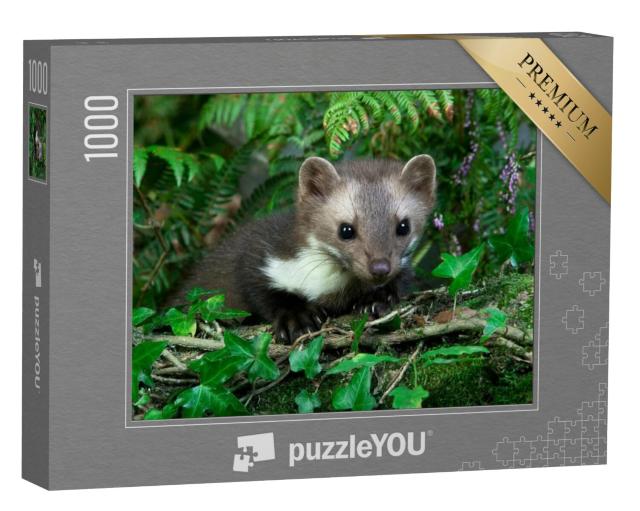 Puzzel 1000 stukjes „Steenmarter in groene natuur“