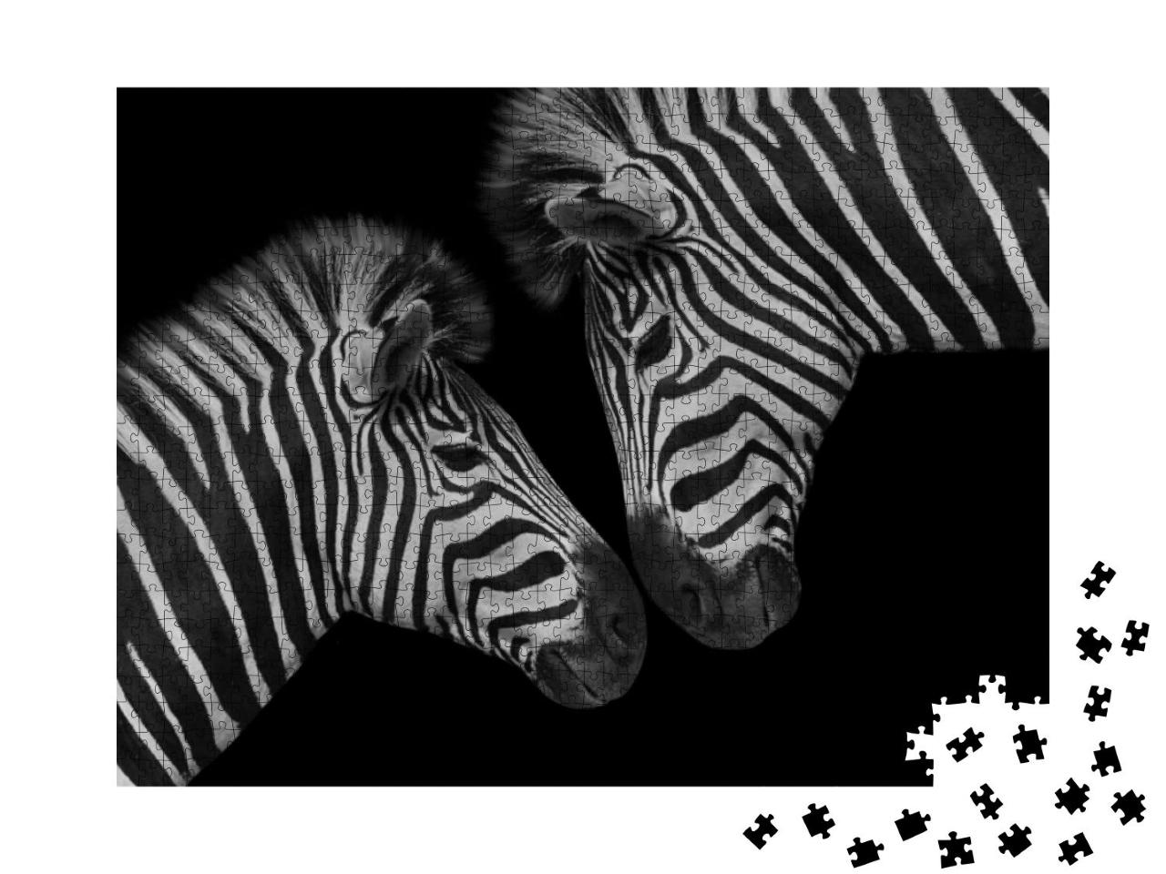 Puzzle 1000 Teile „Vertrauen: Zebra-Jungtier und seine Mutter“