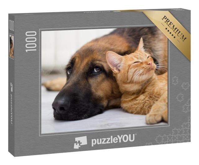 Puzzle 1000 Teile „Nahaufnahme: Katze und Hund liegen zusammen auf dem Boden“
