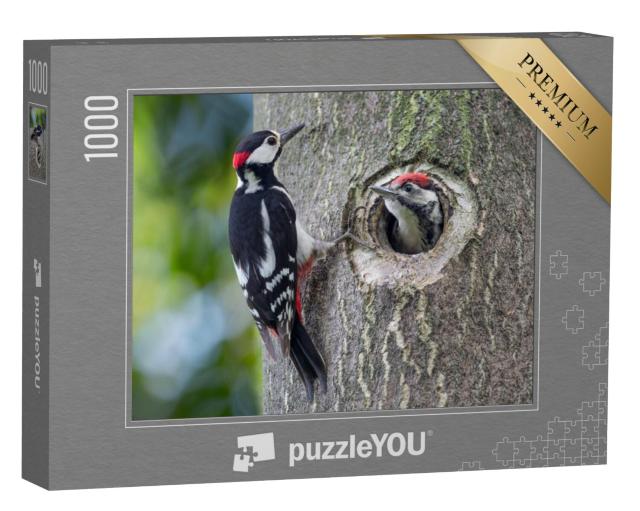 Puzzel 1000 stukjes „Grote bonte specht nest met vader en zoon“