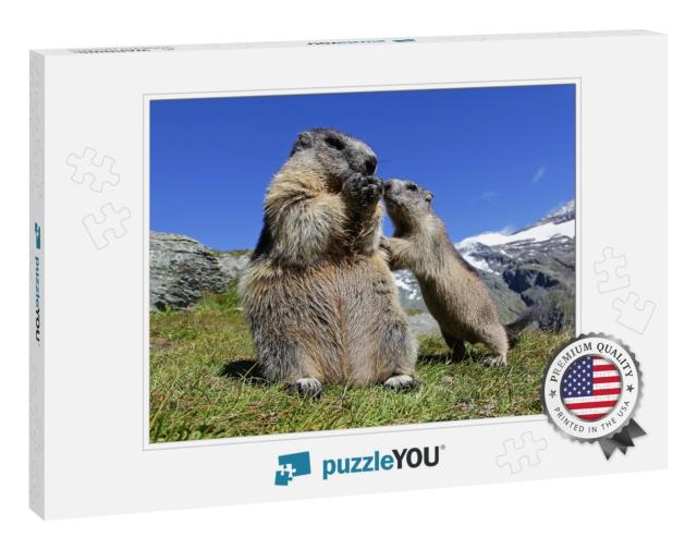 A Marmot Mother with Her Curious Marmot Baby in the High... Jigsaw Puzzle