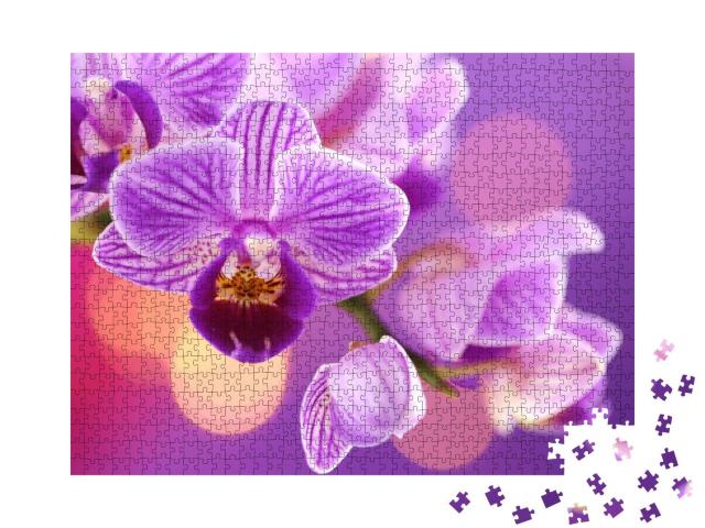 Puzzle 1000 Teile „Makrofotografie: Eine Orchidee“