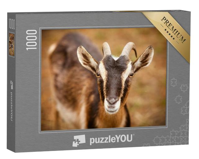 Puzzel 1000 stukjes „Portret van een geit op een boerderij“