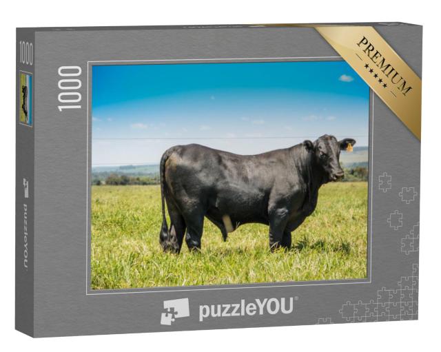 Puzzel 1000 stukjes „Angus vee in zijaanzicht“