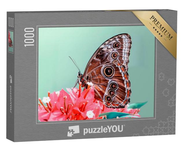 Puzzel 1000 stukjes „Een vlinder“