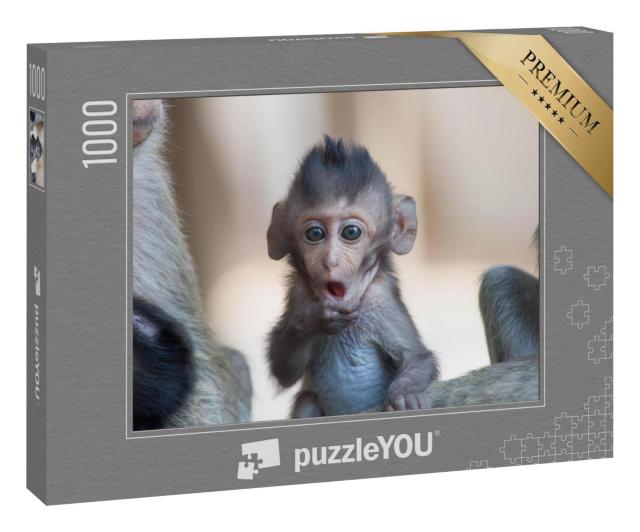 Puzzle 1000 Teile „Ein niedlicher Affe lebt im Wald, Thailand“