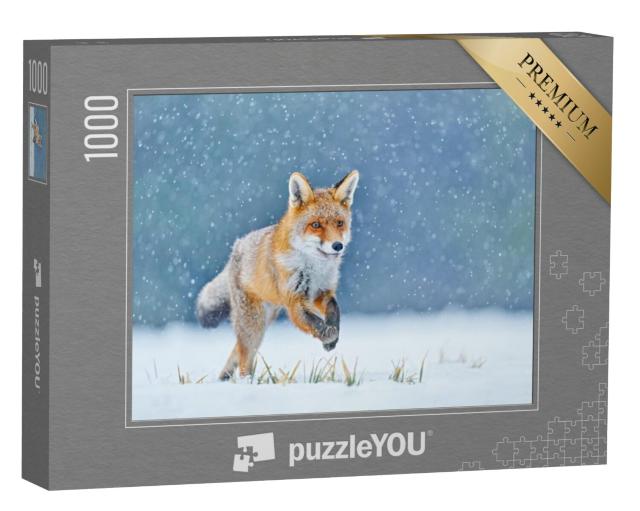 Puzzel 1000 stukjes „Rode vos jaagt in besneeuwde weide“