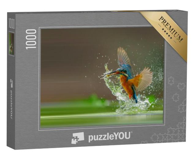 Puzzel 1000 stukjes „IJsvogel vangt vis uit het water“