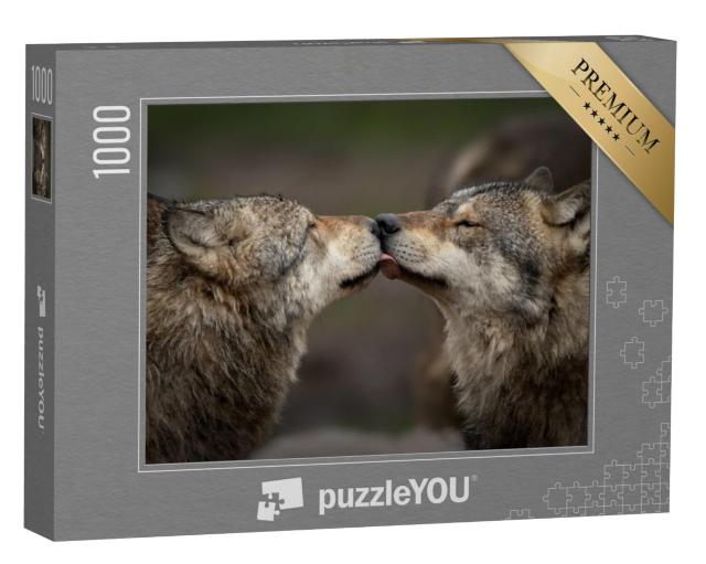 Puzzel 1000 stukjes „Vertrouwen tussen wolven“